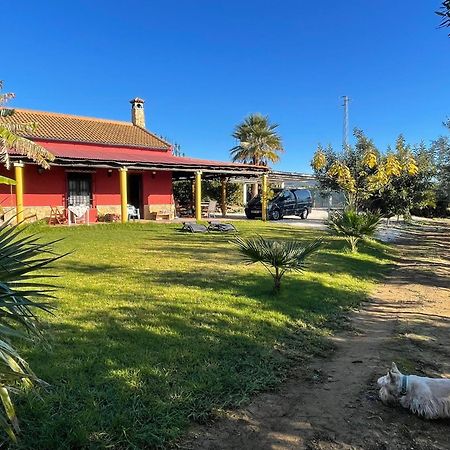 La Buganvilla, Descanso Entre Olivares Hornachuelos Eksteriør billede