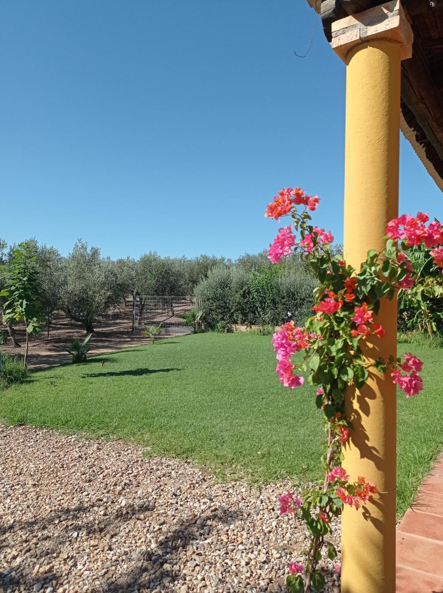 La Buganvilla, Descanso Entre Olivares Hornachuelos Eksteriør billede