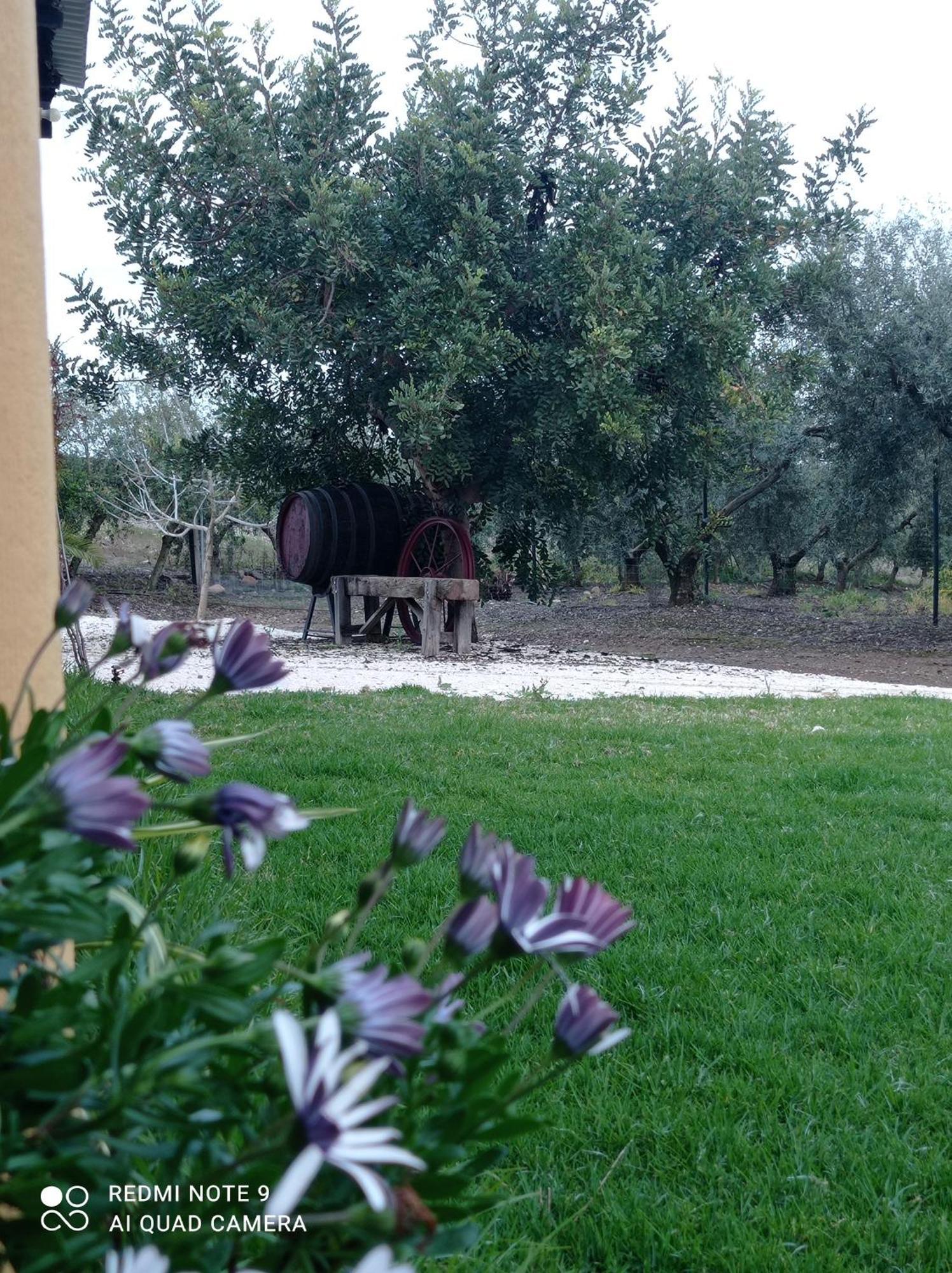 La Buganvilla, Descanso Entre Olivares Hornachuelos Eksteriør billede